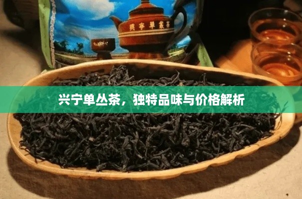 興寧單叢茶，獨特品味與價格解析