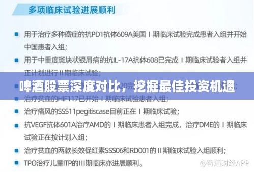 啤酒股票深度對(duì)比，挖掘最佳投資機(jī)遇