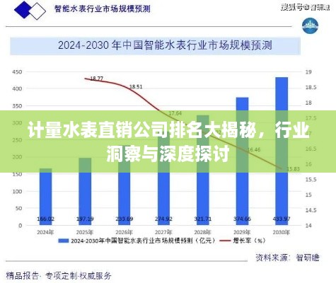 計(jì)量水表直銷公司排名大揭秘，行業(yè)洞察與深度探討