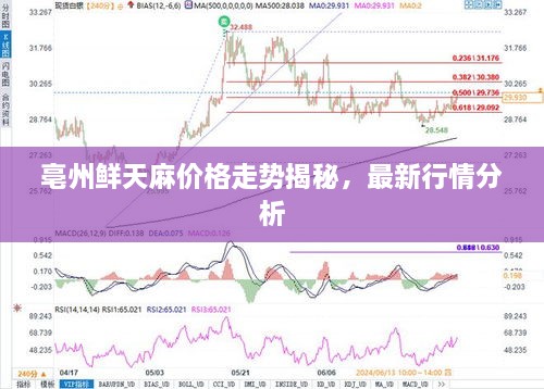 亳州鮮天麻價(jià)格走勢(shì)揭秘，最新行情分析