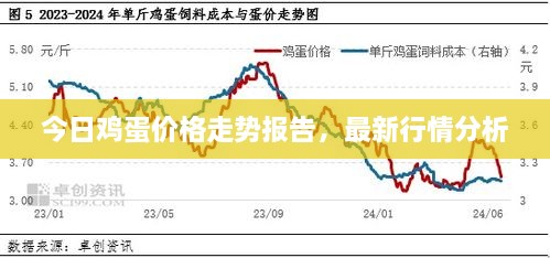 今日雞蛋價格走勢報告，最新行情分析