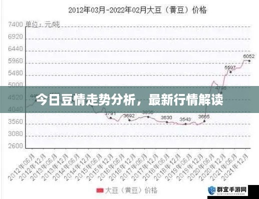 今日豆情走勢分析，最新行情解讀