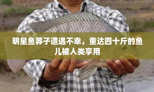 明星魚莽子遭遇不幸，重達(dá)四十斤的魚兒被人類享用