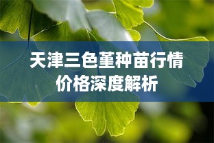 天津三色堇種苗行情價(jià)格深度解析