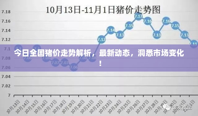 今日全國豬價走勢解析，最新動態(tài)，洞悉市場變化！