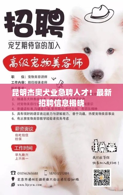 昆明杰奧犬業(yè)急聘人才！最新招聘信息揭曉