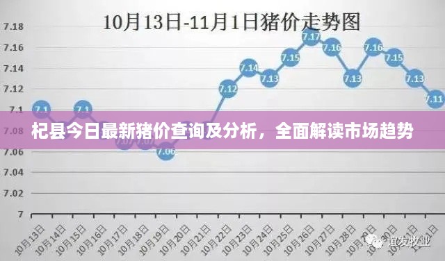 杞縣今日最新豬價(jià)查詢及分析，全面解讀市場(chǎng)趨勢(shì)