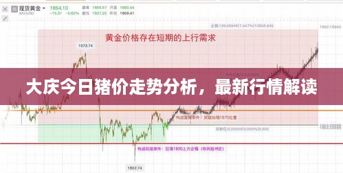 大慶今日豬價走勢分析，最新行情解讀