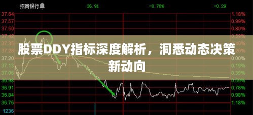 股票DDY指標深度解析，洞悉動態(tài)決策新動向