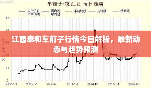 江西泰和車前子行情今日解析，最新動態(tài)與趨勢預測