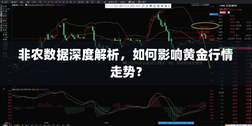 非農(nóng)數(shù)據(jù)深度解析，如何影響黃金行情走勢(shì)？