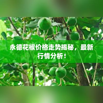 永德花椒價格走勢揭秘，最新行情分析！