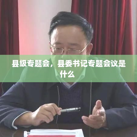 縣級專題會，縣委書記專題會議是什么 