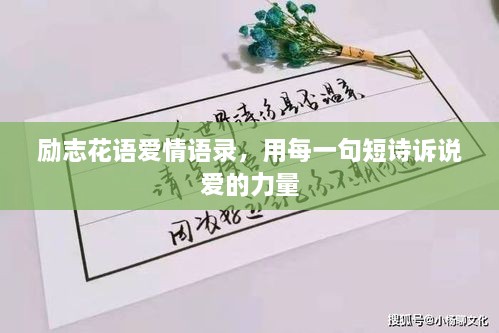 勵志花語愛情語錄，用每一句短詩訴說愛的力量