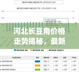 河北長(zhǎng)豆角價(jià)格走勢(shì)揭秘，最新行情分析報(bào)告！