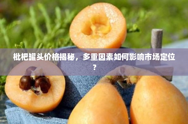 枇杷罐頭價(jià)格揭秘，多重因素如何影響市場(chǎng)定位？