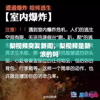 梨視頻突發(fā)新聞，梨視頻是新浪的嗎 