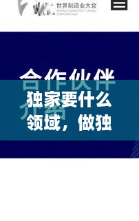 獨家要什么領域，做獨家代理有什么要求 